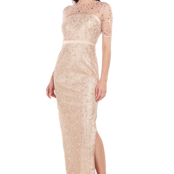 Js Collections Maisie Illusion Column Gown